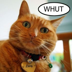 Meet your Posher, Joanna